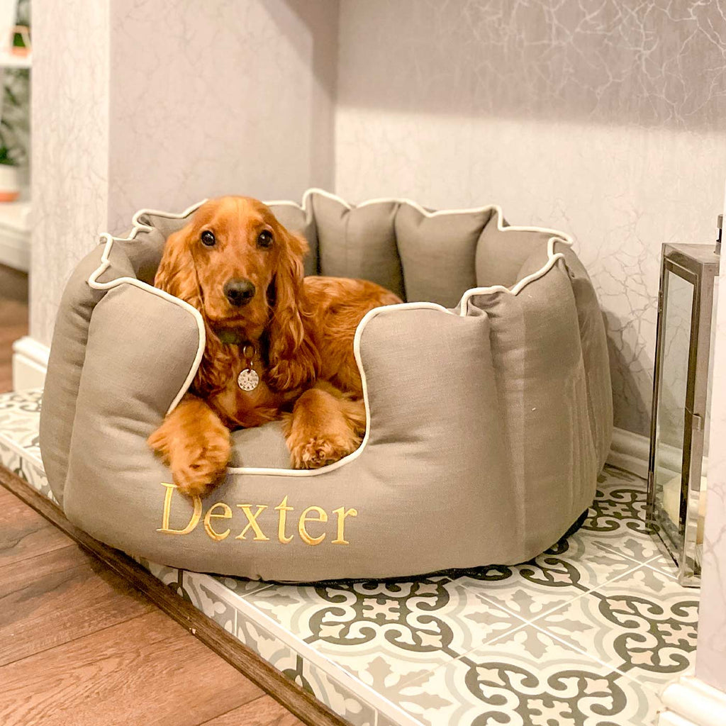 High Wall Bed For Dogs in Savanna
