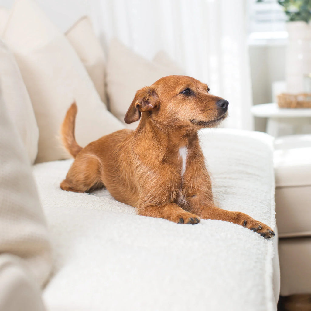 Couch Topper in Bouclé