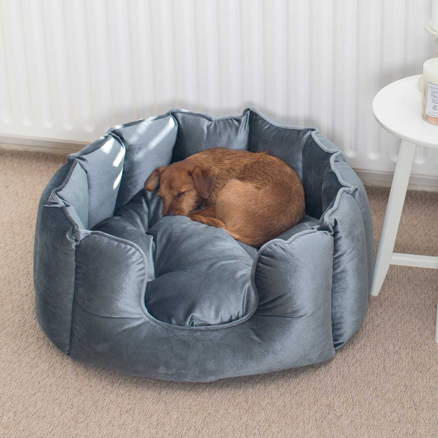 High Wall Bed For Dogs in Velvet