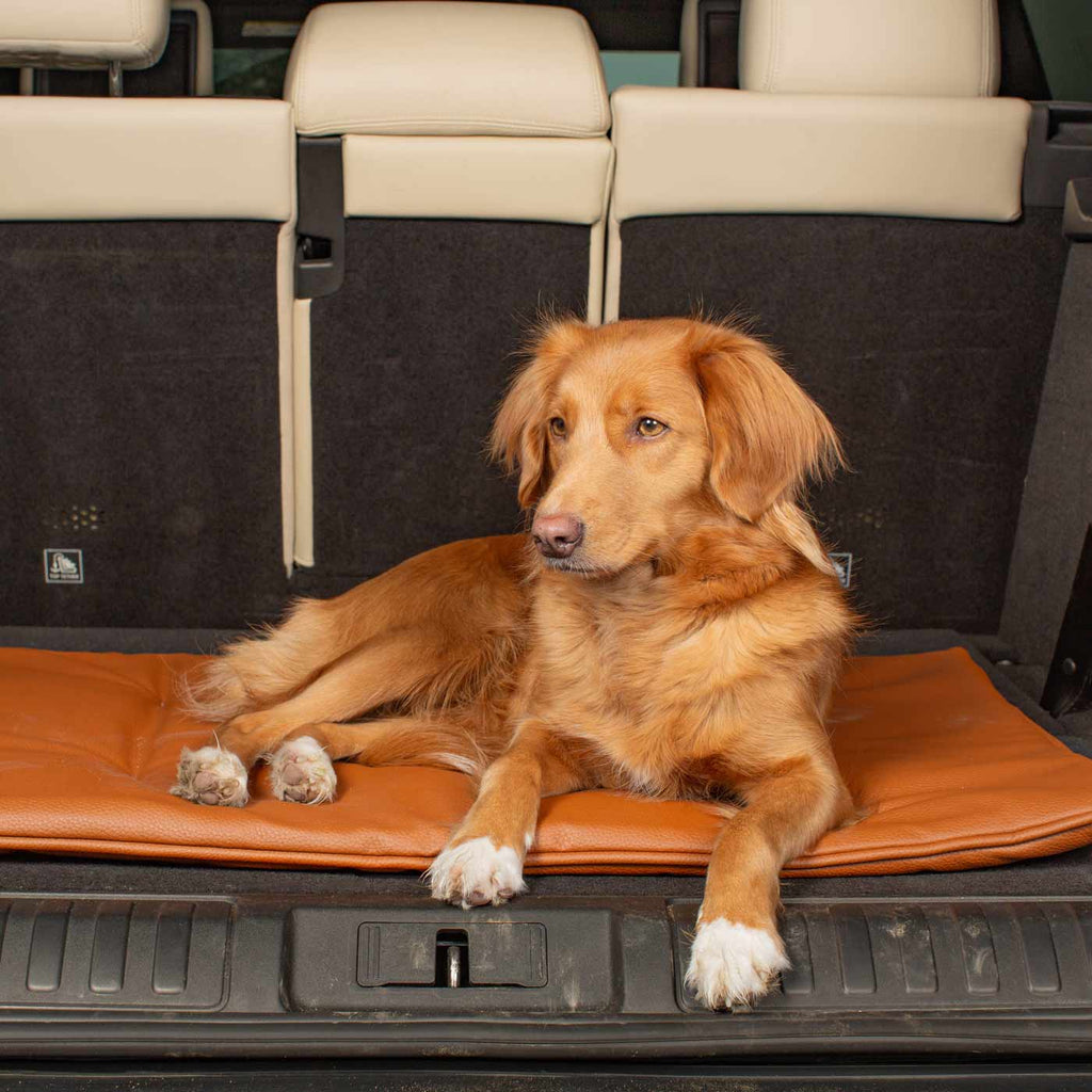 Travel Mat in Ember Rhino Faux Leather