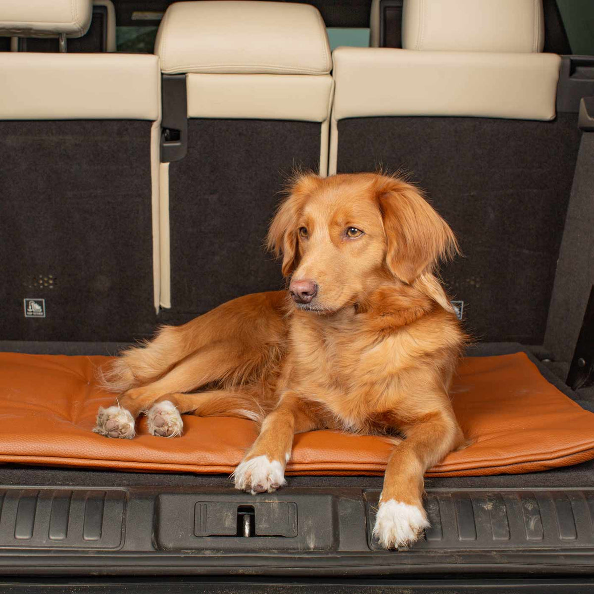 Travel Mat in Ember Rhino Faux Leather