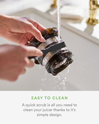 Self-Feeding Cold Press Masticating Juicer with Wide-Mouth Hopper, Easy Cleanup and Assembly