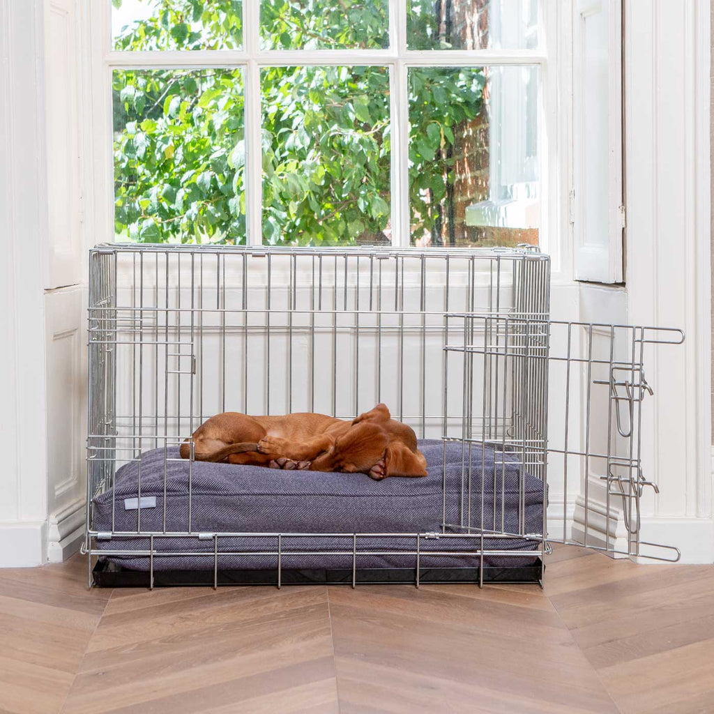 Dog Cushion in Oxford Herringbone Tweed