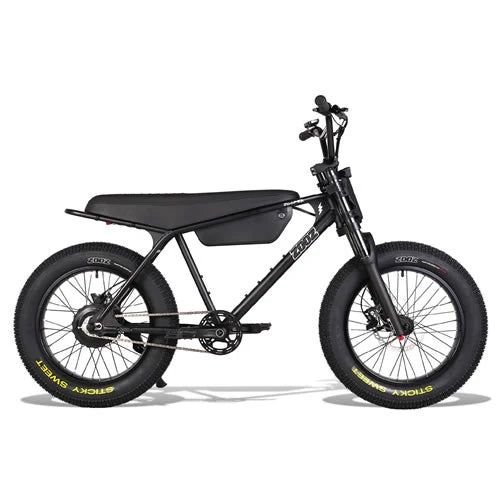 E bike