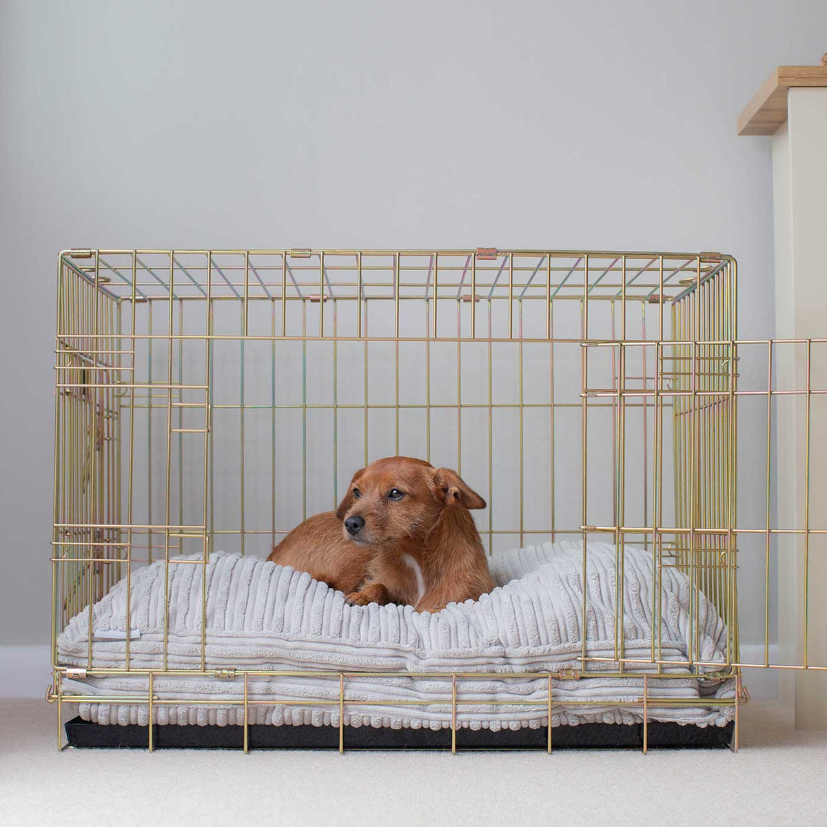 Dog Cushion in Light Grey Essentials