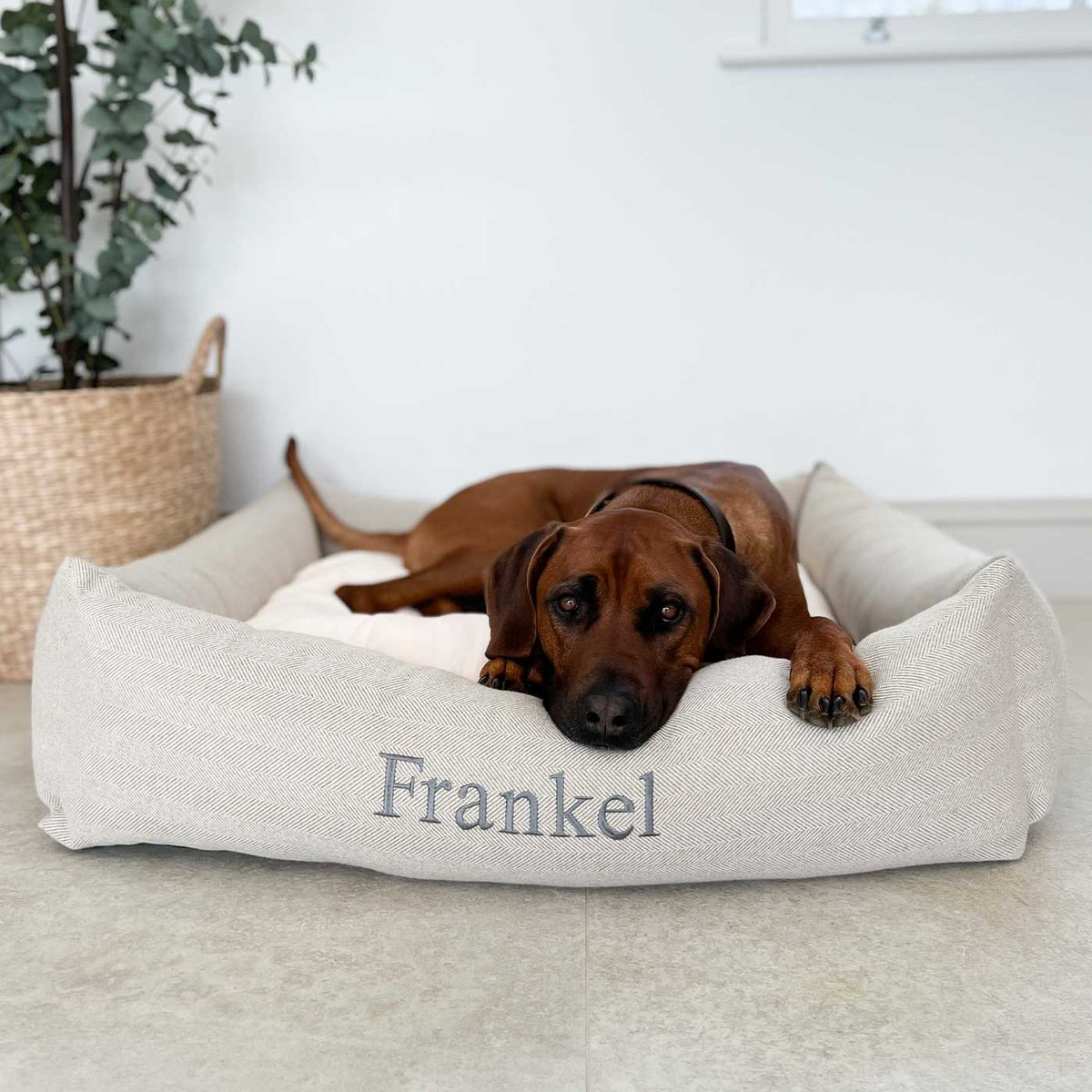 Box Bed For Dogs in Herringbone Tweed