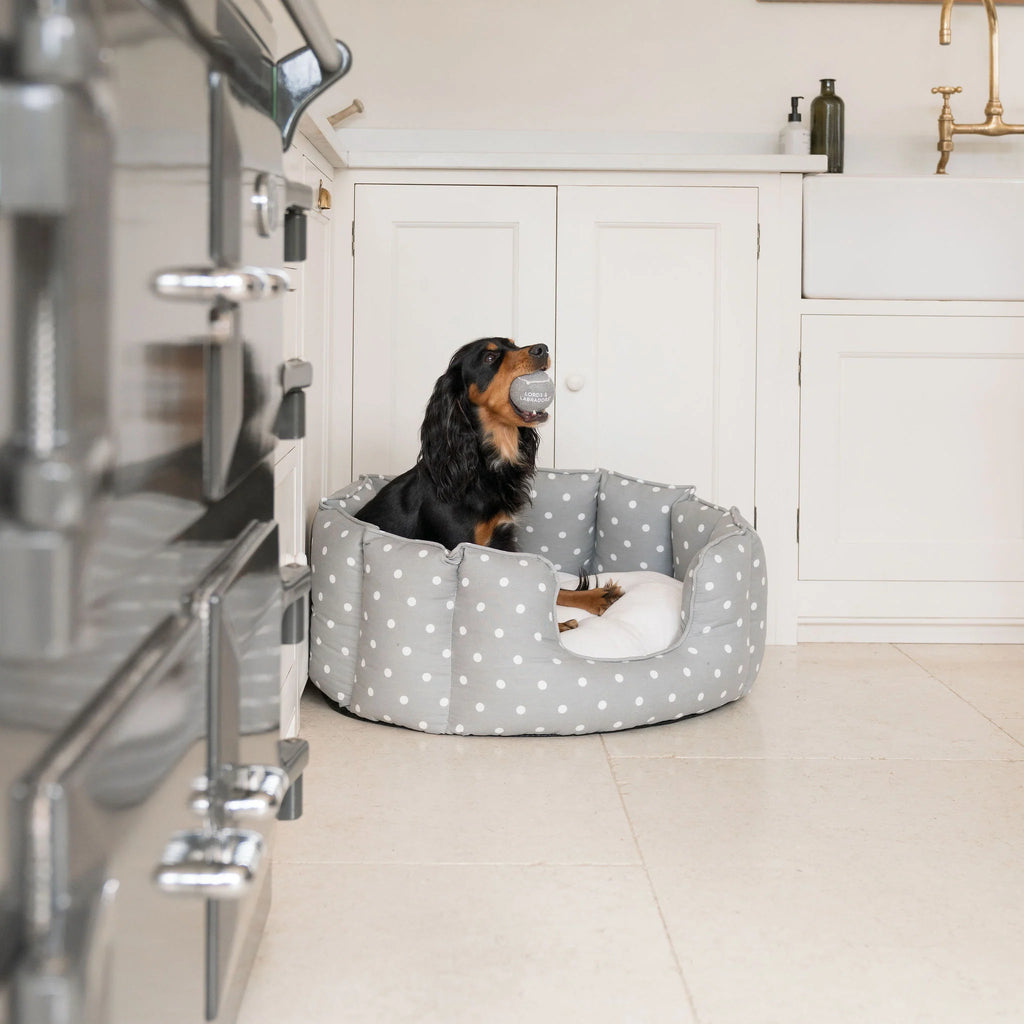 High Wall Bed For Dogs in Spots & Stripes
