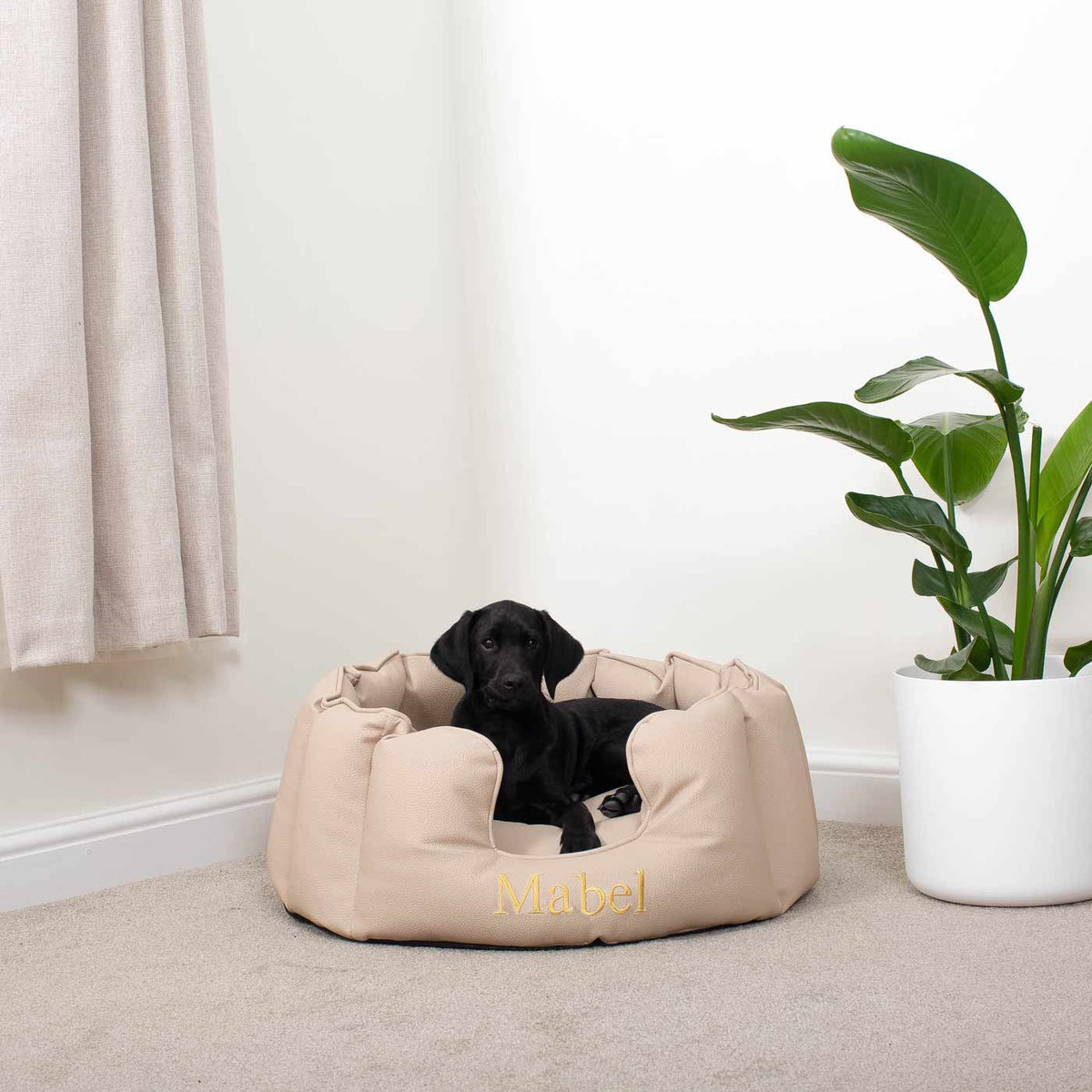 High Wall Bed in Rhino Tough Desert Faux Leather