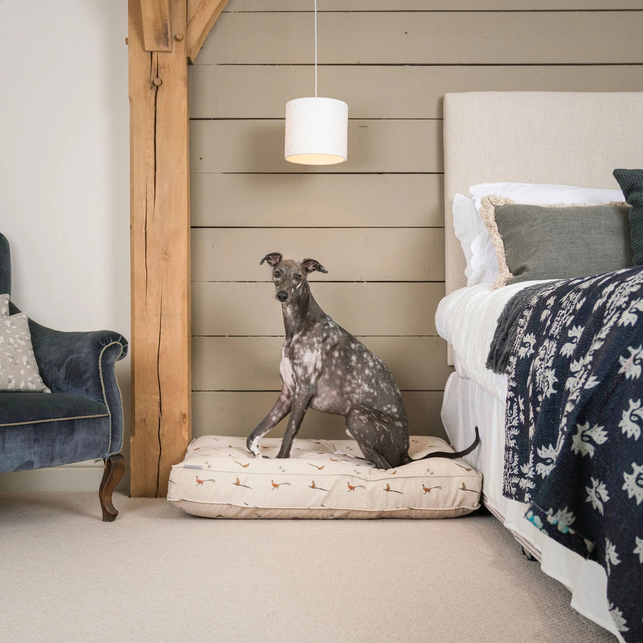 Dog Cushion in Woodland Pheasant