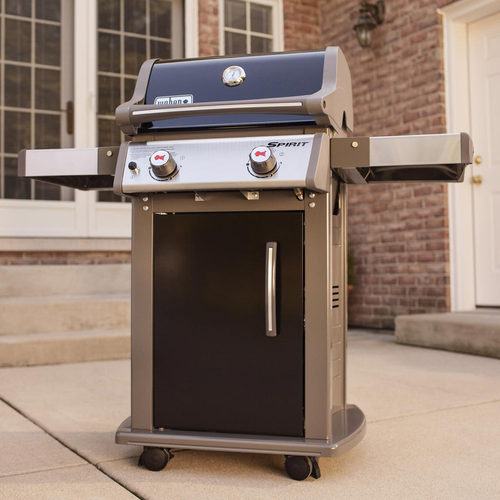 2-Burner Liquid Propane Grill, Black