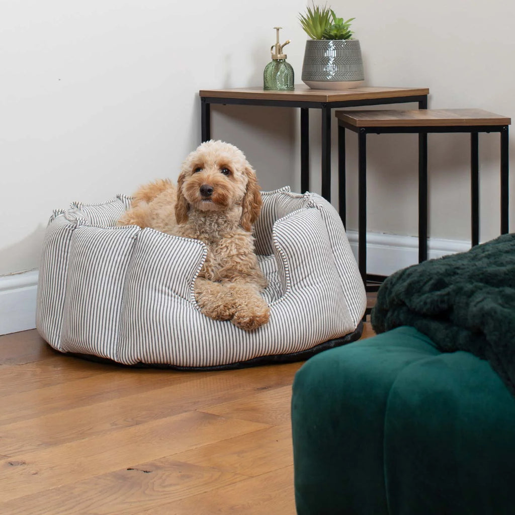 High Wall Bed For Dogs in Spots & Stripes
