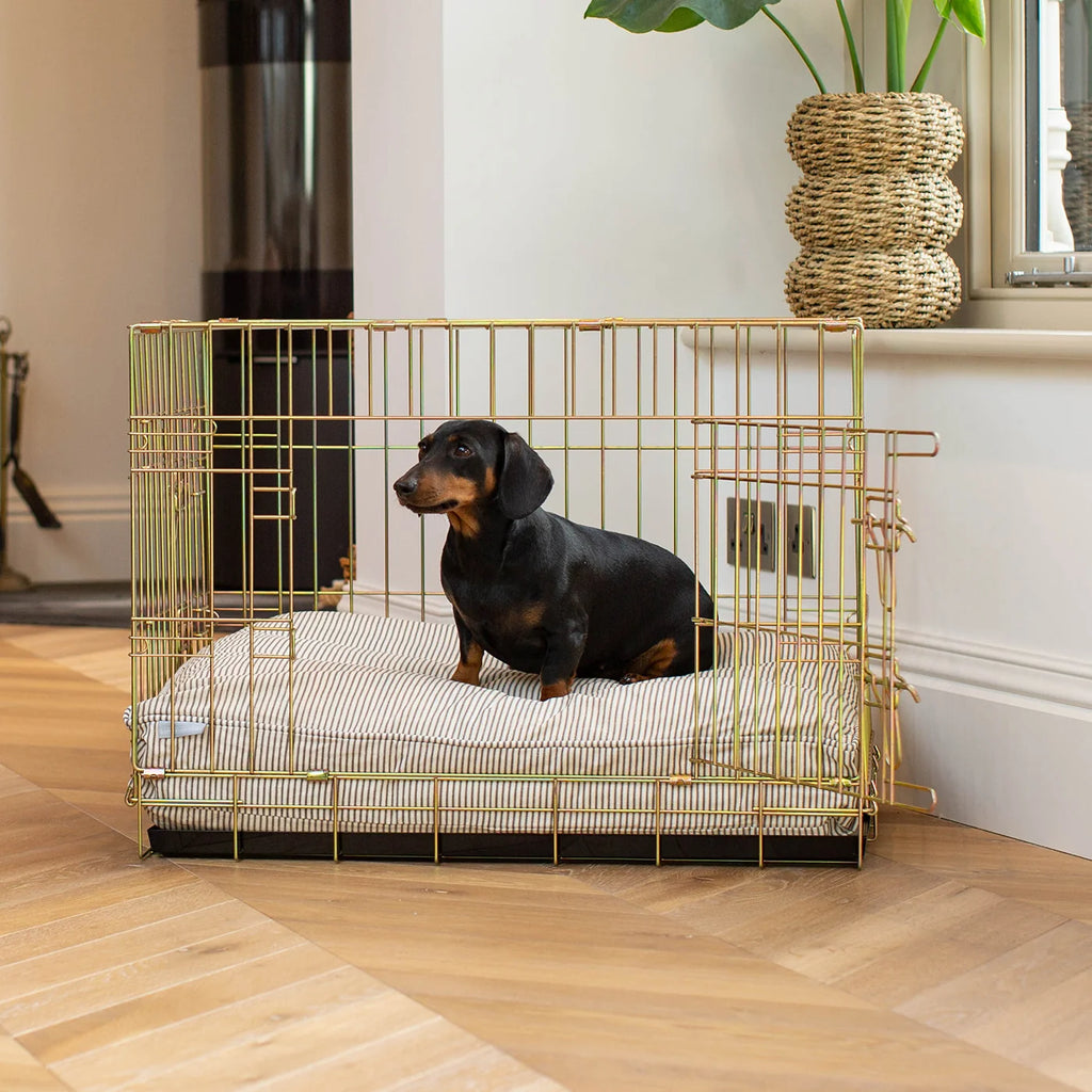 Dog Cushion in Regency Stripe
