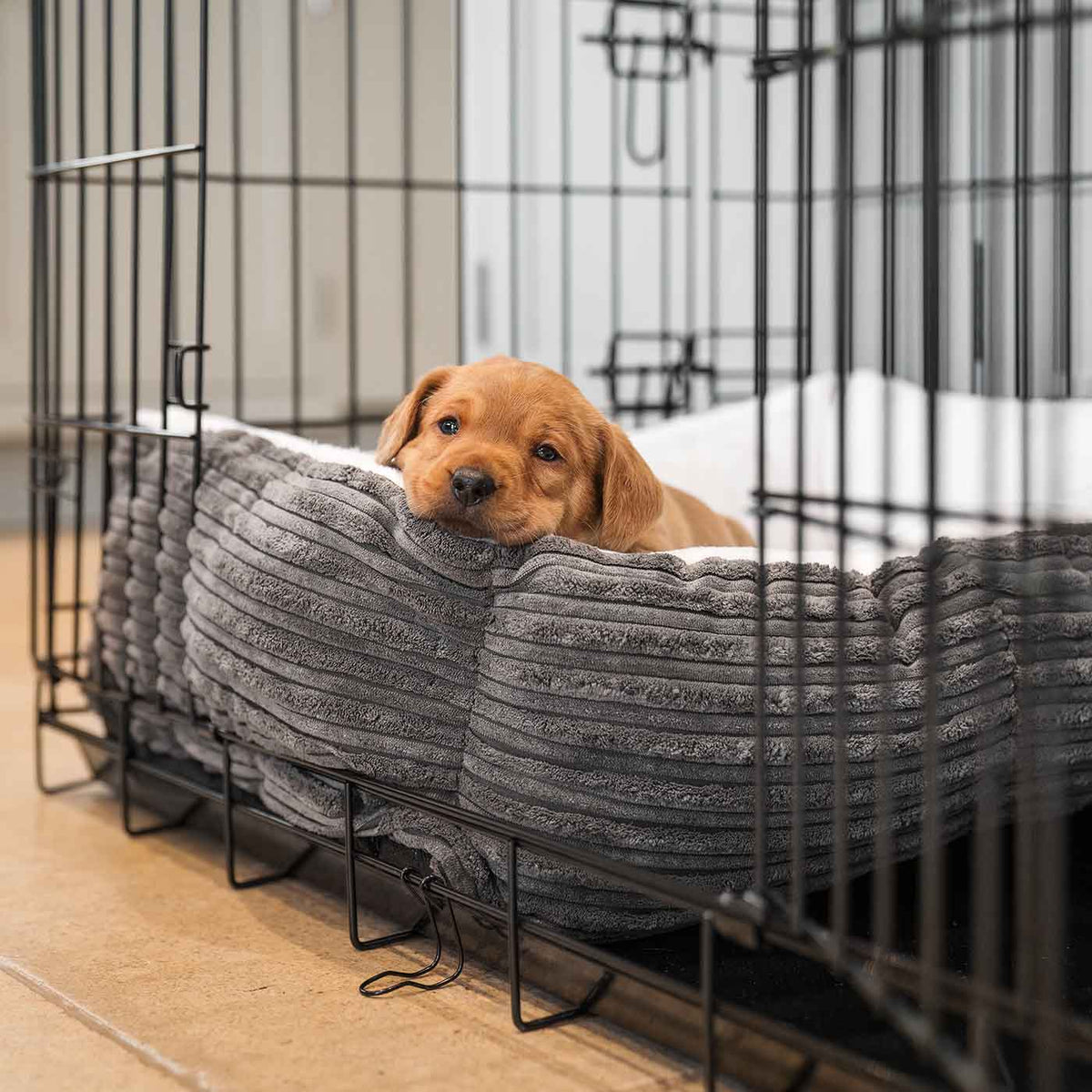 Cozy & Calming Puppy Cage Bed in Essentials Plush