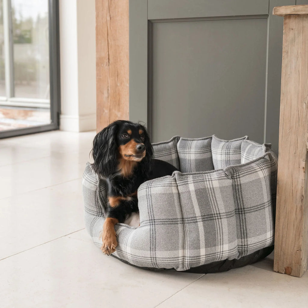 High Wall Bed For Dogs in Balmoral Tweed