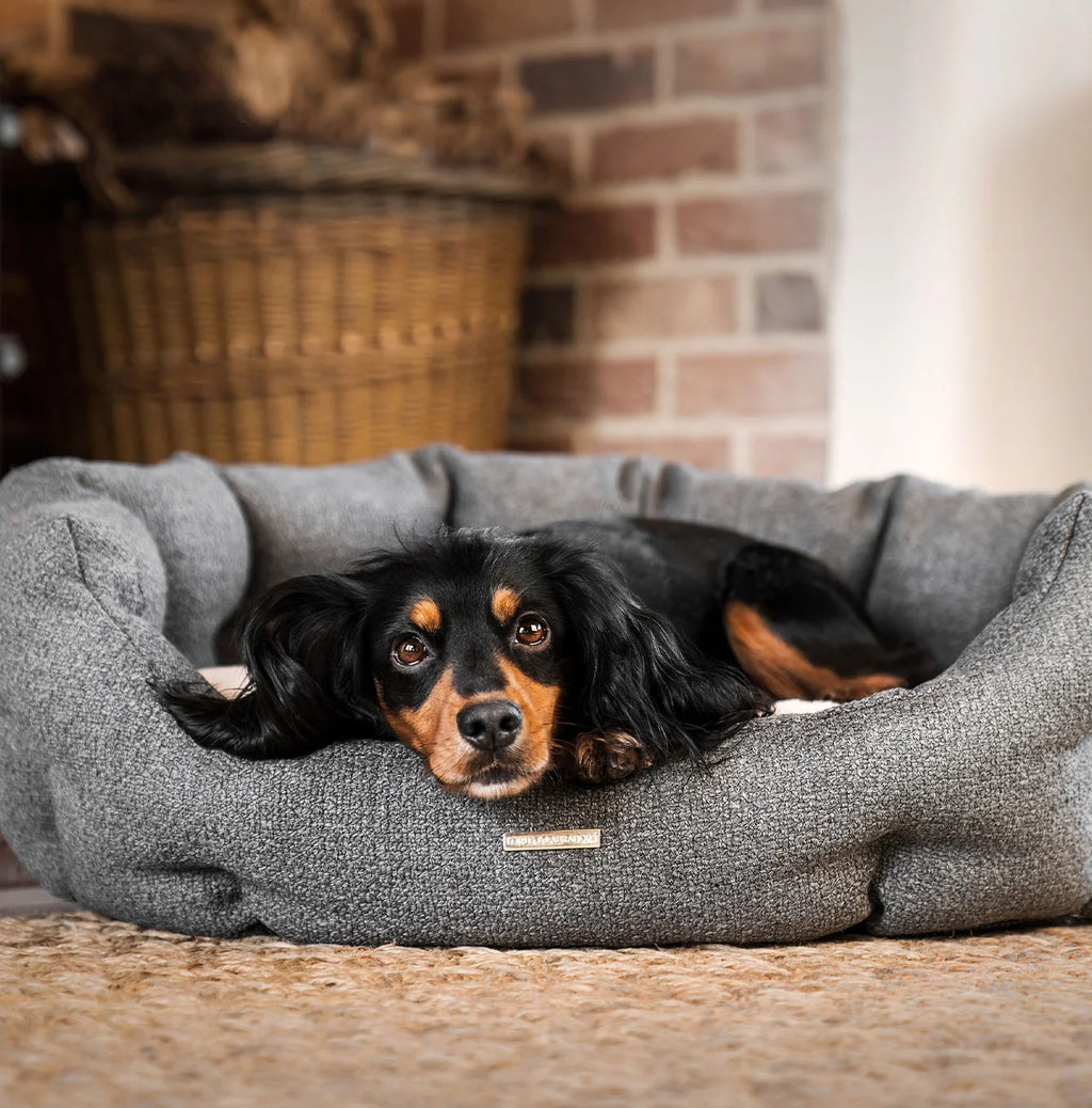 Oval Bed in Graphite