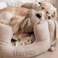 High Wall Bed For Dogs in Savanna