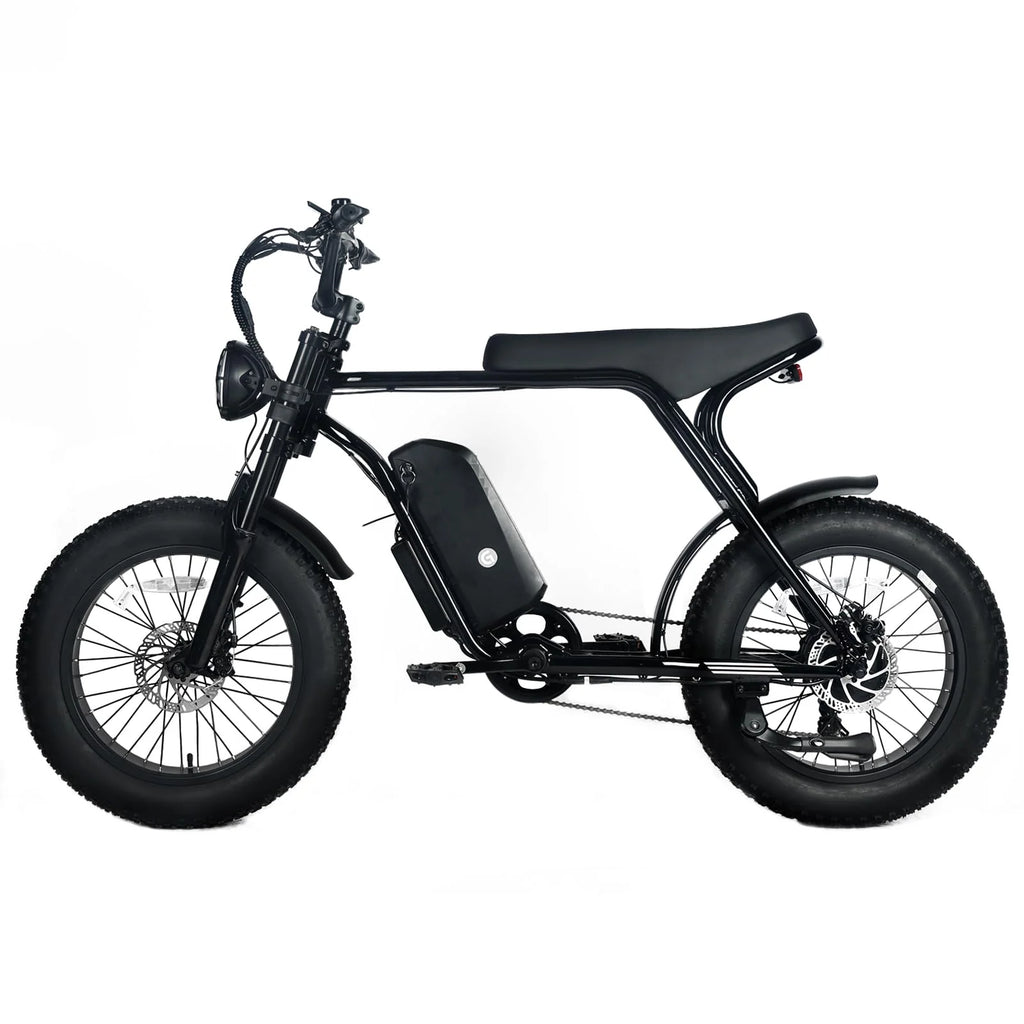 1000W Electric Mountain Bike for Adults with 20 x 4.0 Fat Tires, 48V 20Ah Removable Battery and 7-Speed
