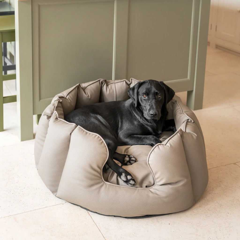 High Wall Bed in Rhino Tough Desert Faux Leather