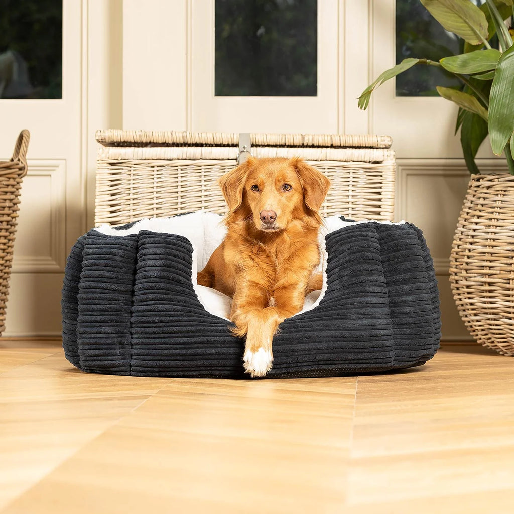 High Wall Bed For Dogs in Essentials Plush