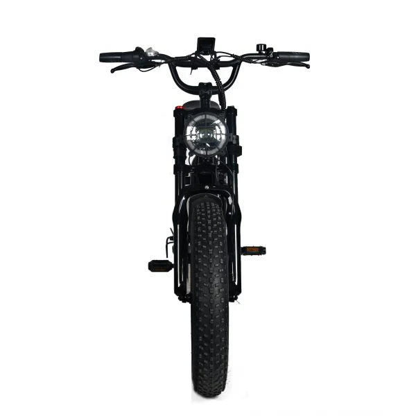 1000W Electric Mountain Bike for Adults with 20 x 4.0 Fat Tires, 48V 20Ah Removable Battery and 7-Speed