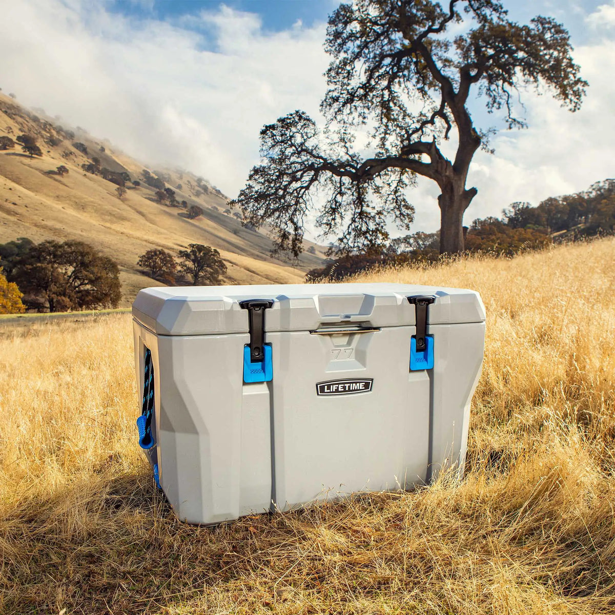 77-Quart High-Performance Cooler