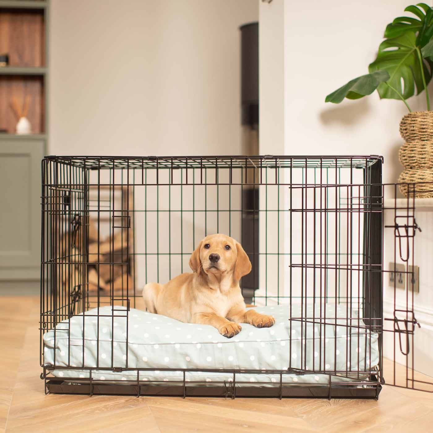 Dog Cushion in Duck Egg Spot