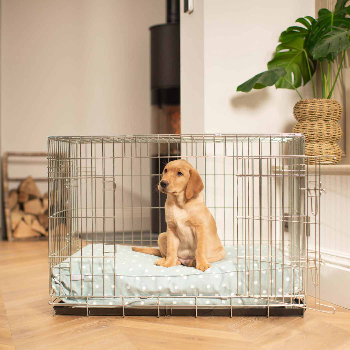 Dog Cushion in Duck Egg Spot