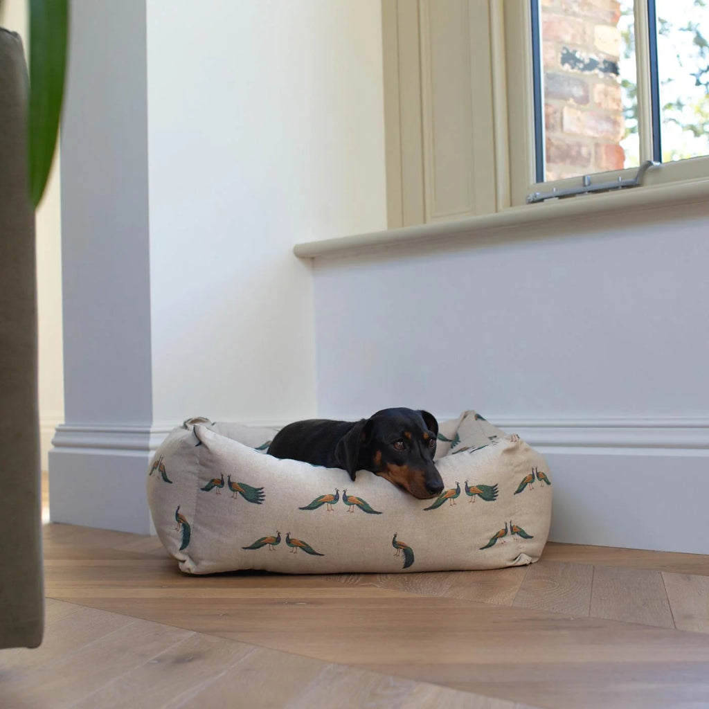 Box Bed For Dogs in Woodlands