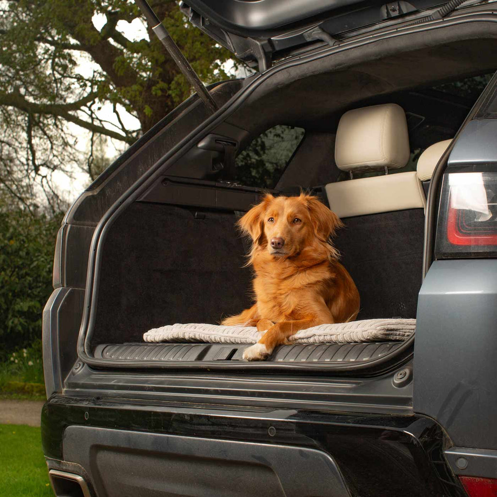 Travel Mat in Essentials Light Grey Variant 2