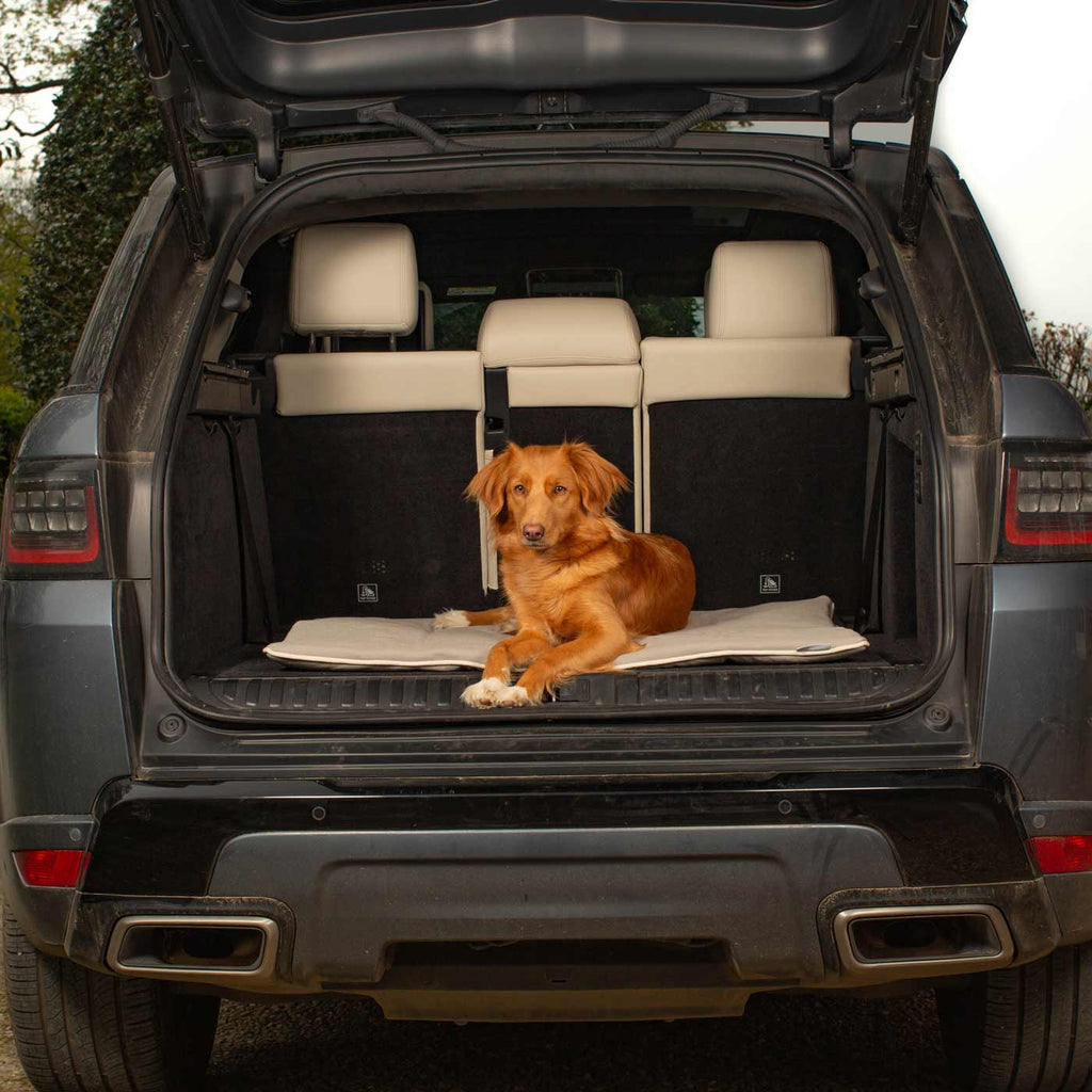 Travel Mat in Savanna Stone