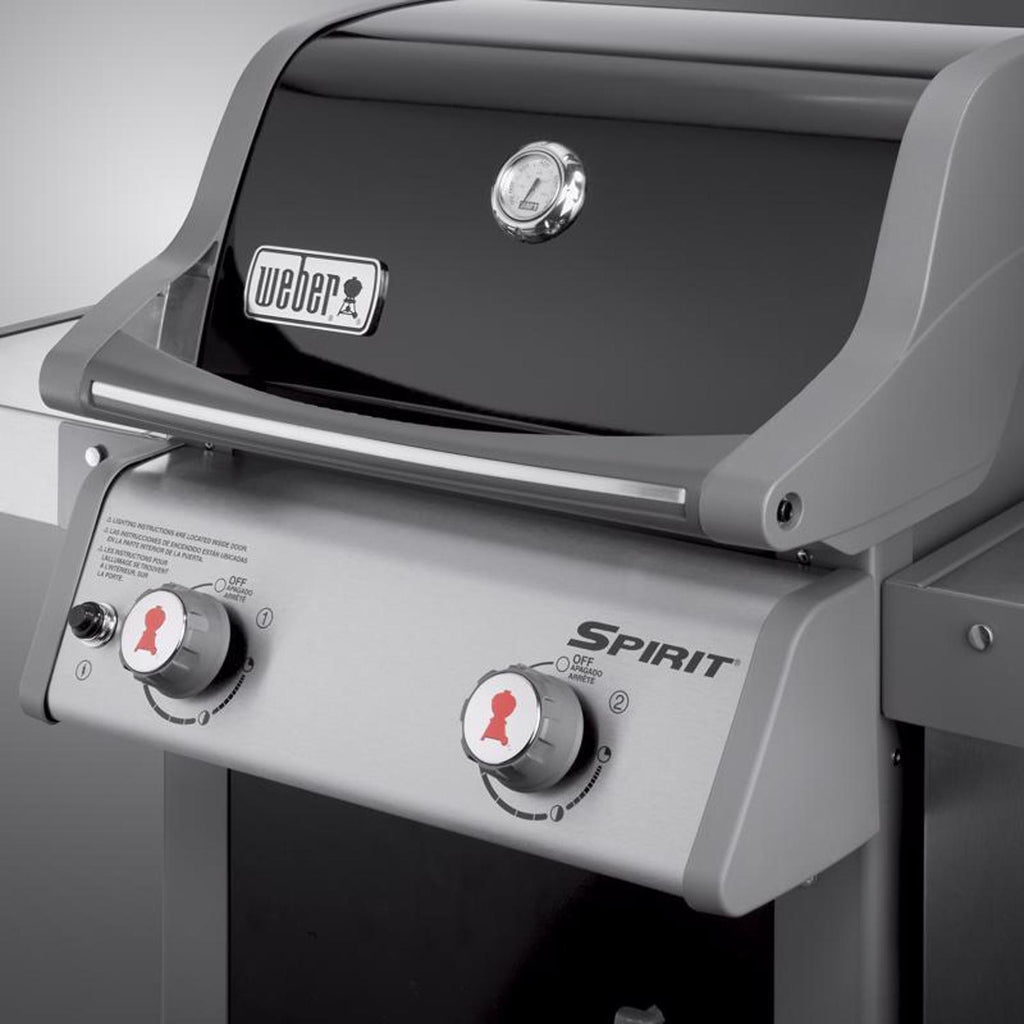 2-Burner Liquid Propane Grill, Black