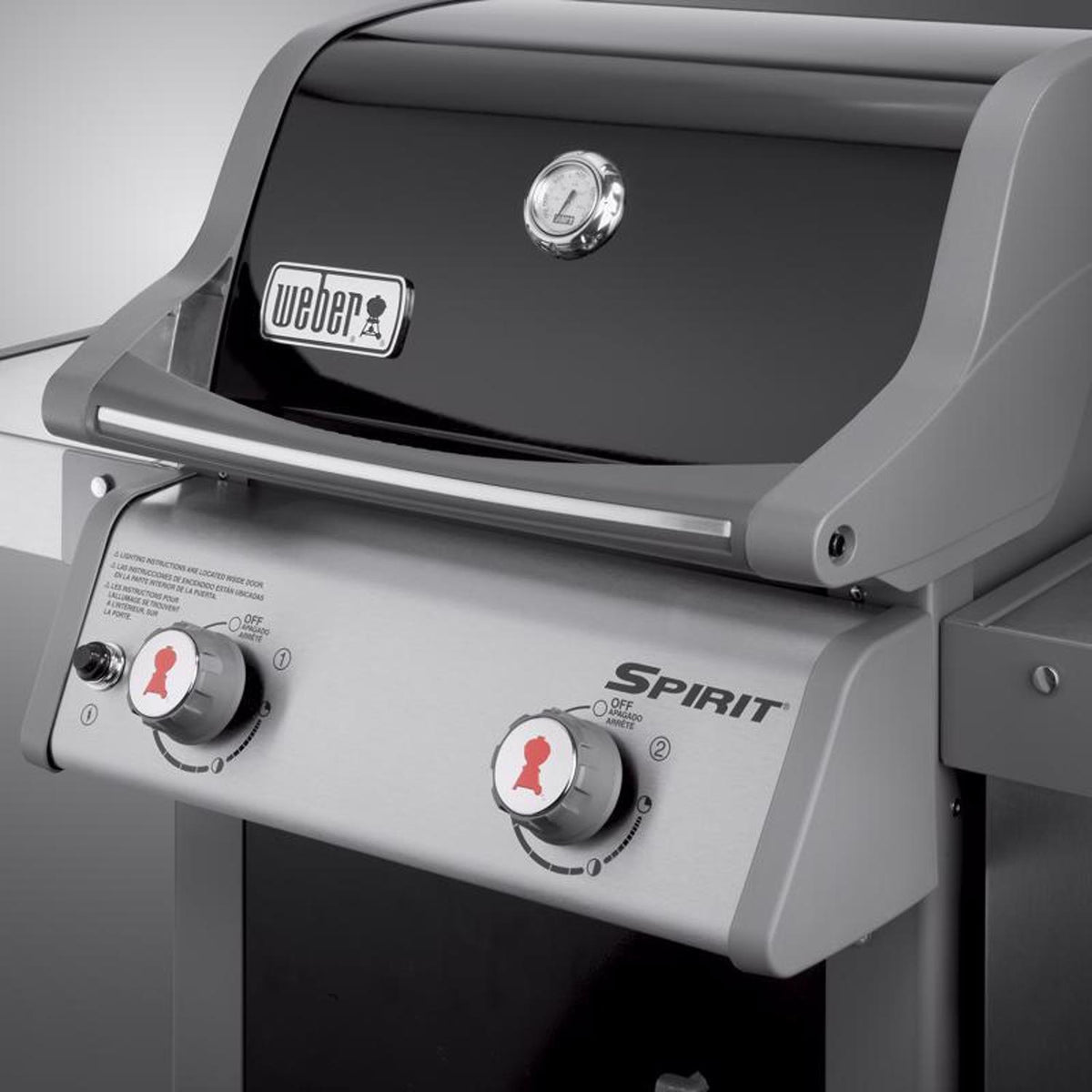 2-Burner Liquid Propane Grill, Black