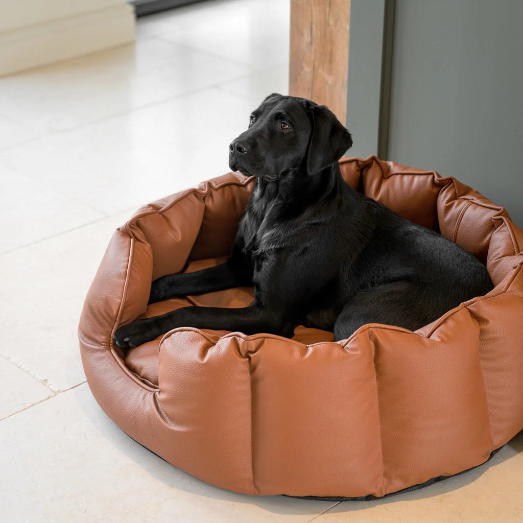 High Wall Bed in Rhino Tough Desert Faux Leather