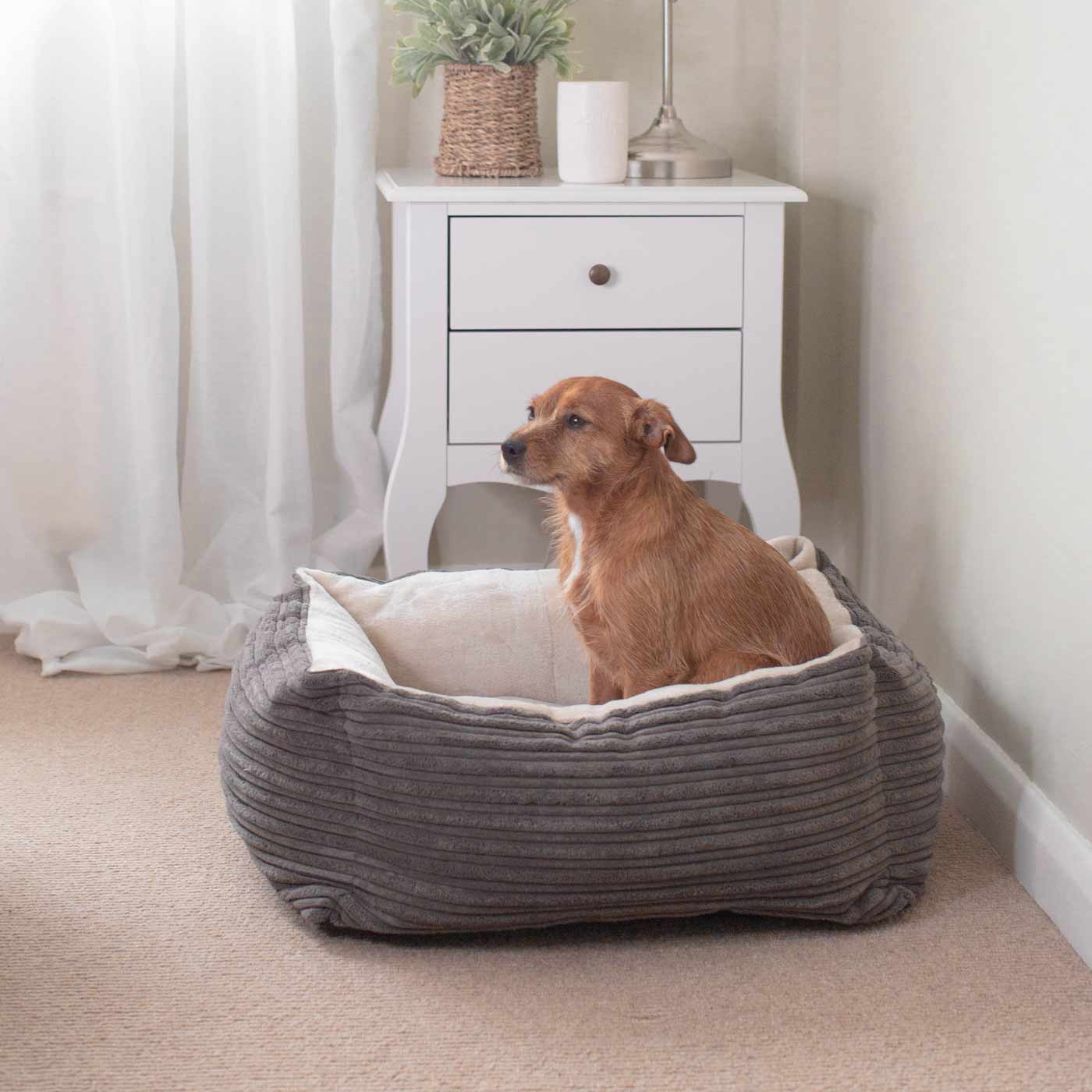 Box Bed For Dogs in Essentials Plush