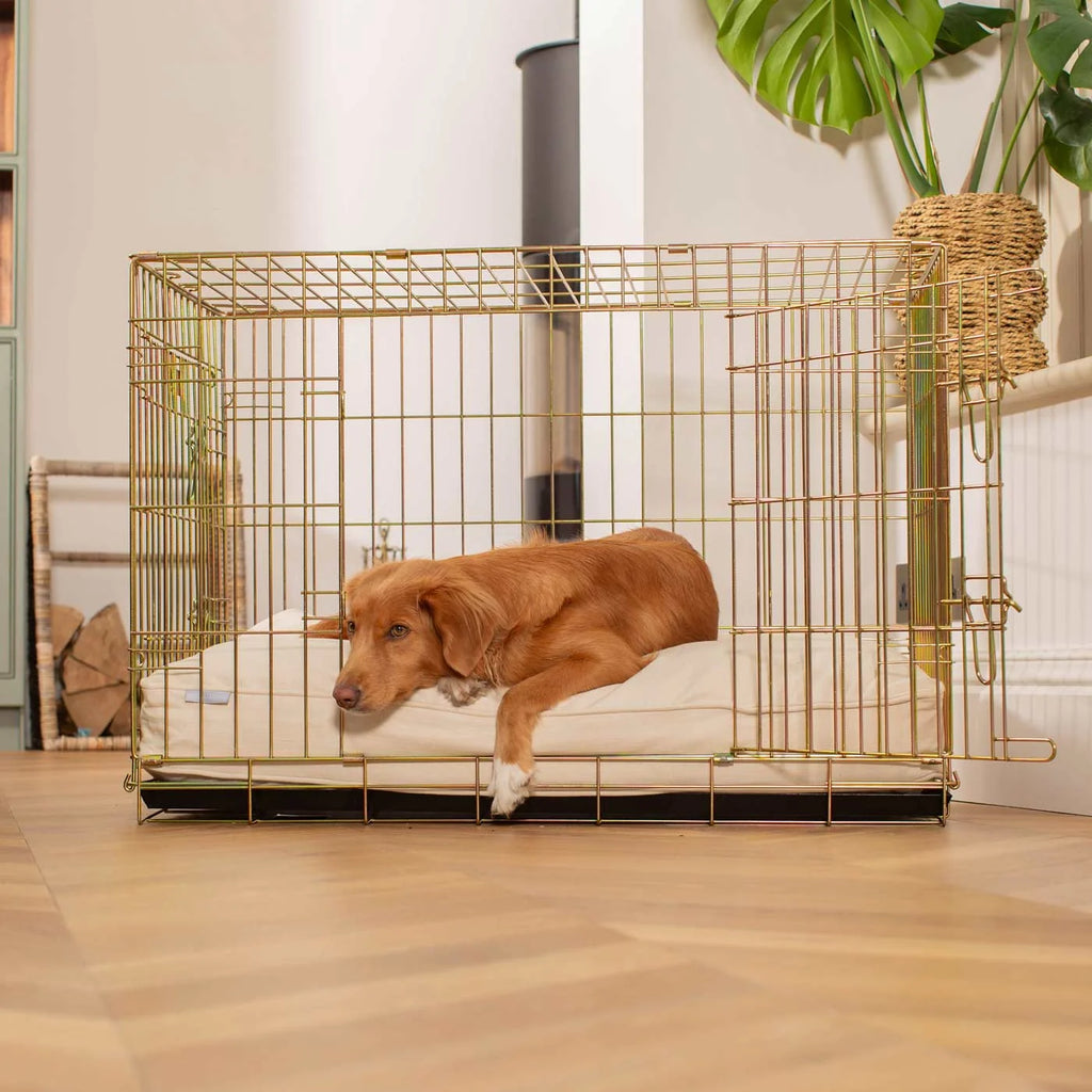 Dog Cushion in Savanna Bone