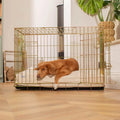 Dog Cushion in Savanna Bone