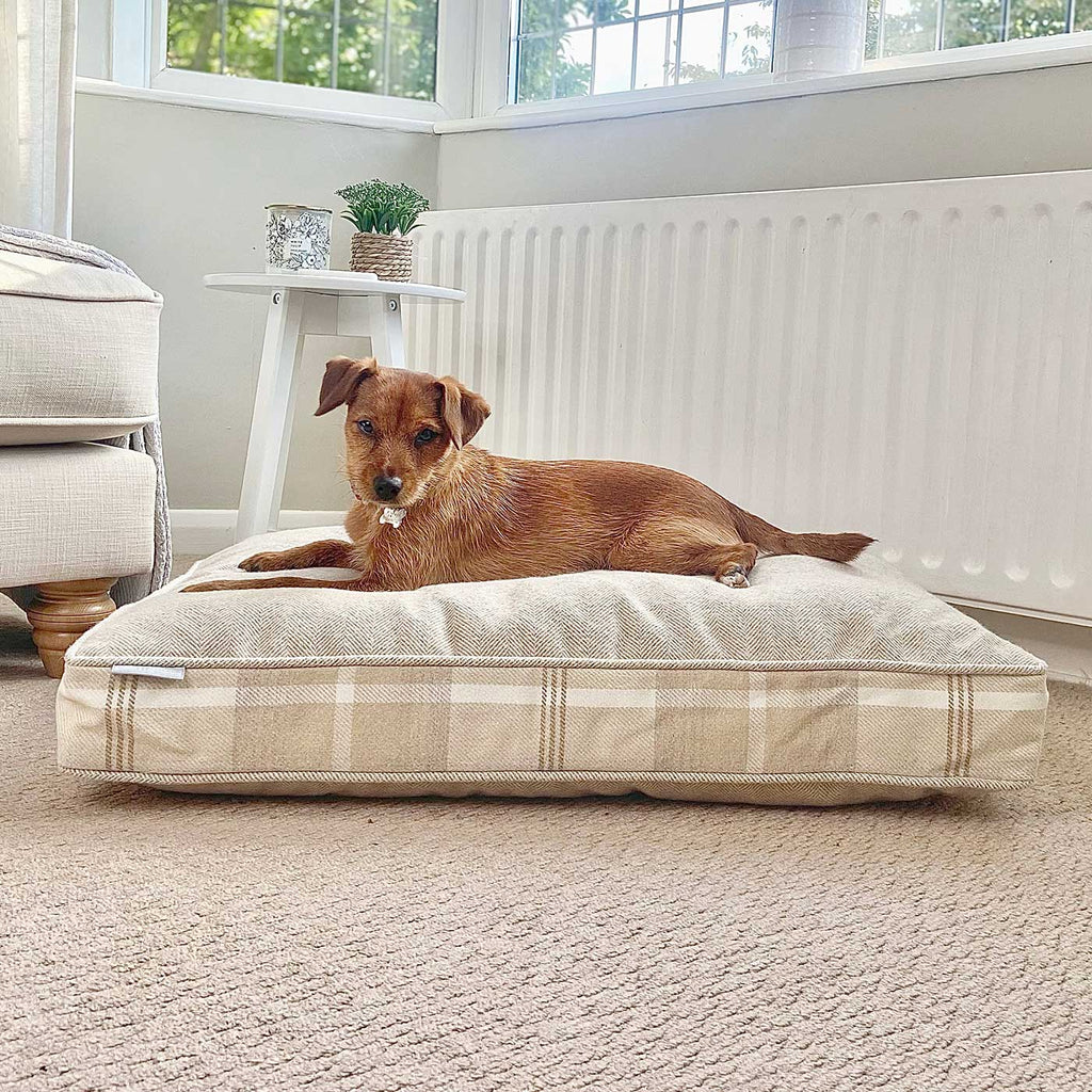Dog Cushion in Balmoral Natural Tweed