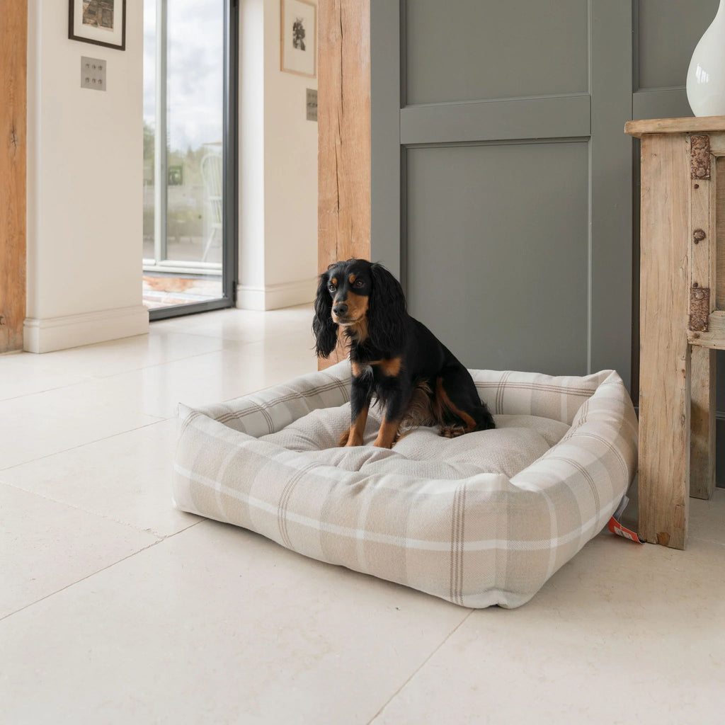 Box Bed For Dogs in Balmoral Tweed