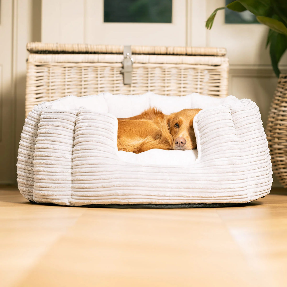 High Wall Bed For Dogs in Essentials Plush