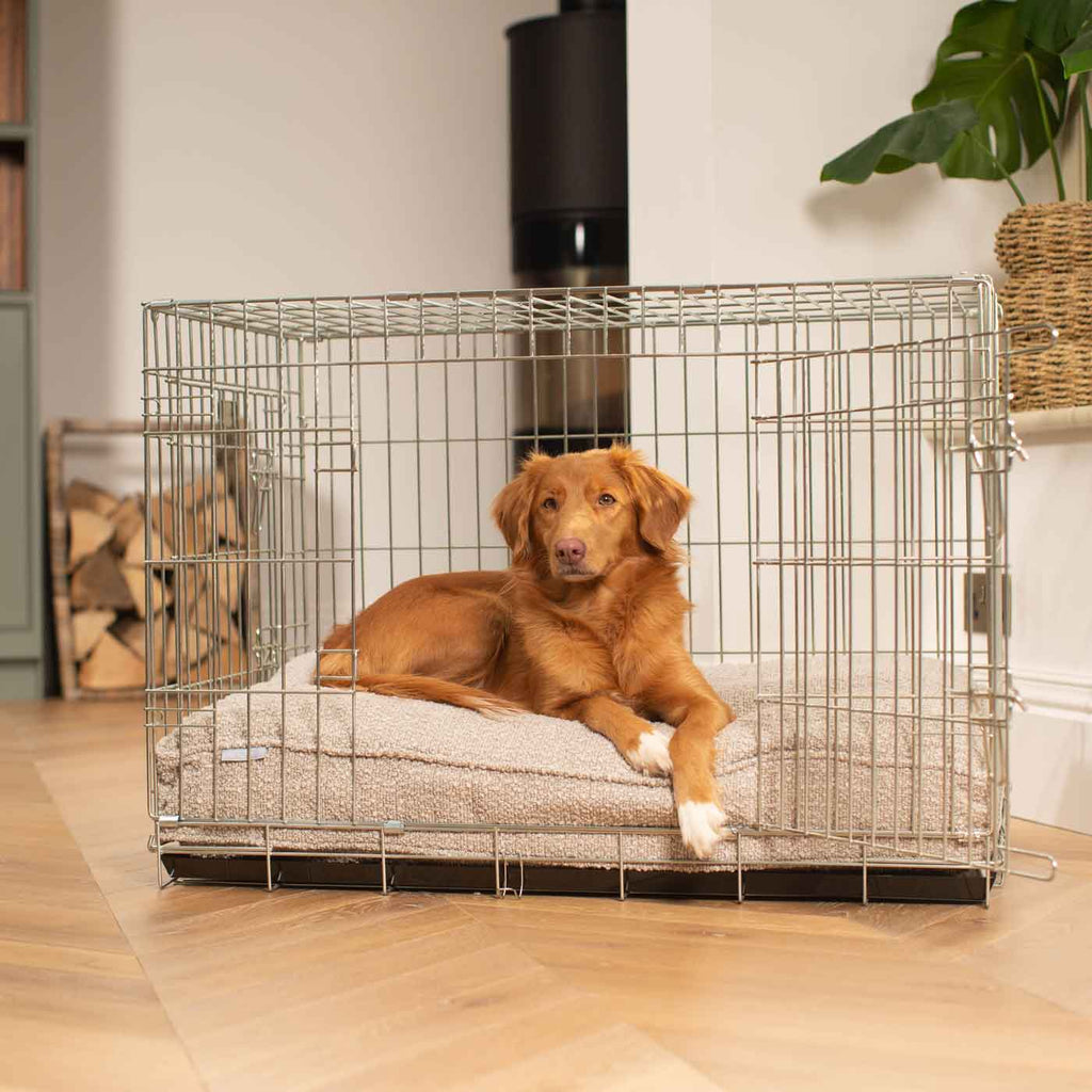 Dog Cushion in Mink Bouclé