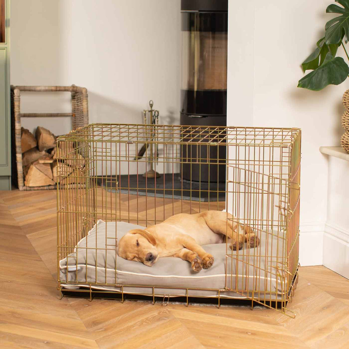 Dog Cushion in Savanna Stone