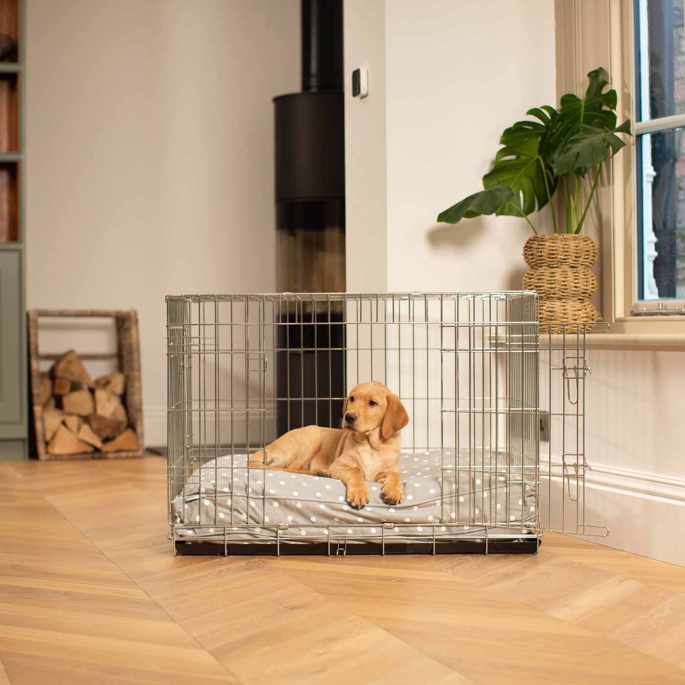 Dog Cushion in Grey Spot