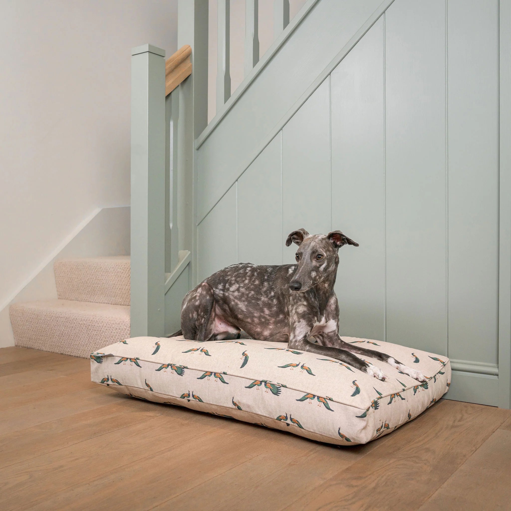 Dog Cushion in Woodland Peacock