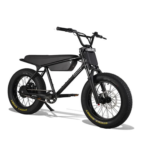 E bike