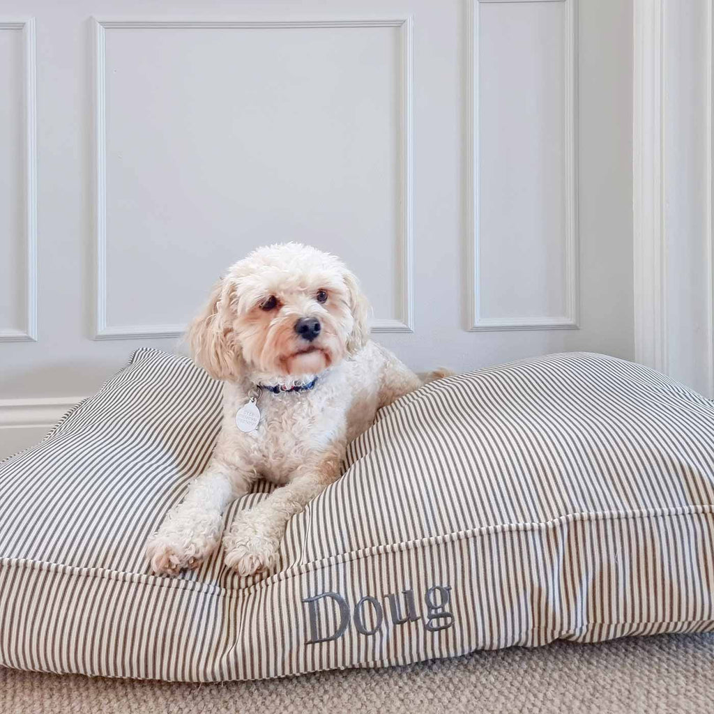 Dog Cushion in Regency Stripe