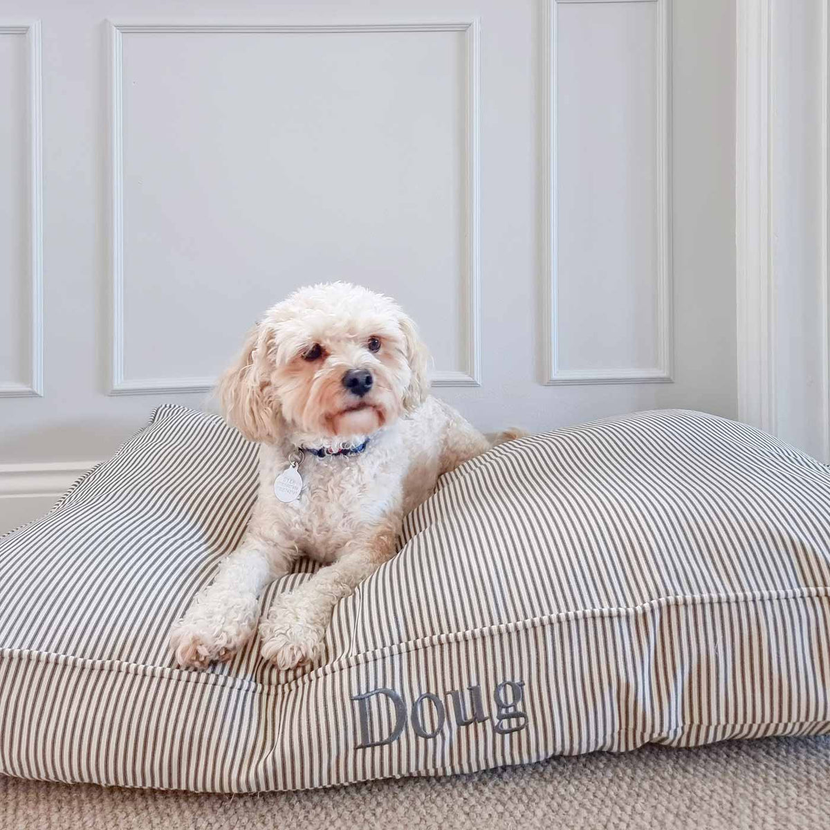 Dog Cushion in Regency Stripe