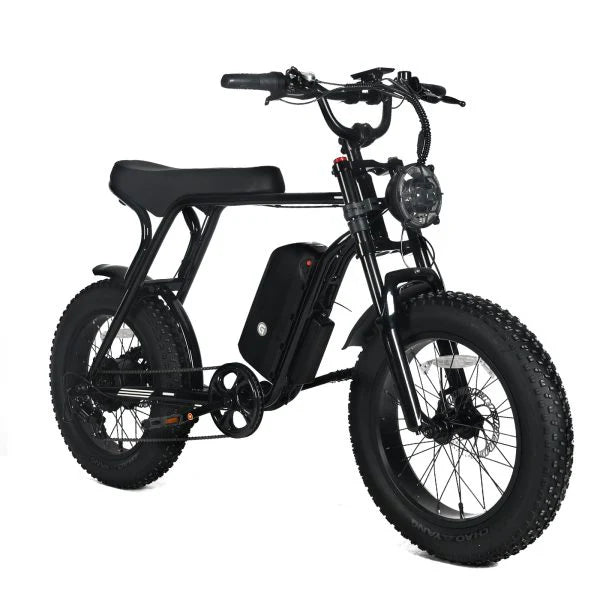 1000W Electric Mountain Bike for Adults with 20 x 4.0 Fat Tires, 48V 20Ah Removable Battery and 7-Speed
