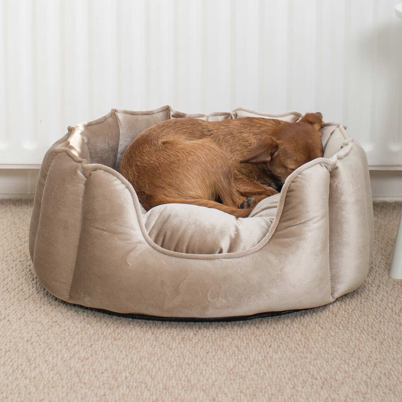 High Wall Bed For Dogs in Velvet