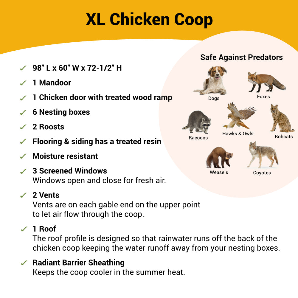 XL Chicken Coop for Up to 20 Chickens