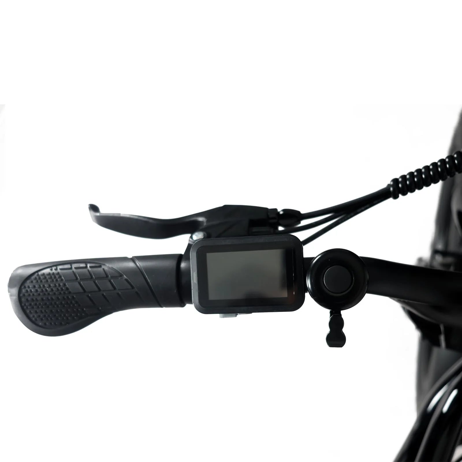 1000W Electric Mountain Bike for Adults with 20 x 4.0 Fat Tires, 48V 20Ah Removable Battery and 7-Speed